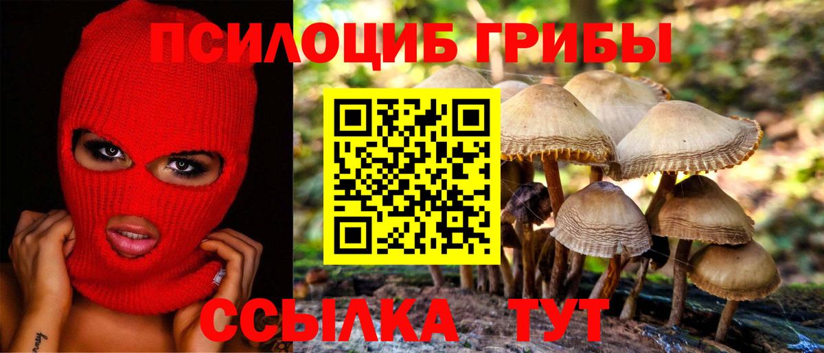 Галлюциногенные грибы GOLDEN TEACHER  Псилоцибиновые грибы Magic Shrooms  цены   Вход с VPN  Артём 